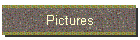 Picture Gallery
