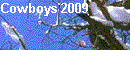 Cowboys 2009