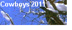 Cowboys 2009