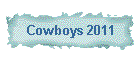 Cowboys 2009